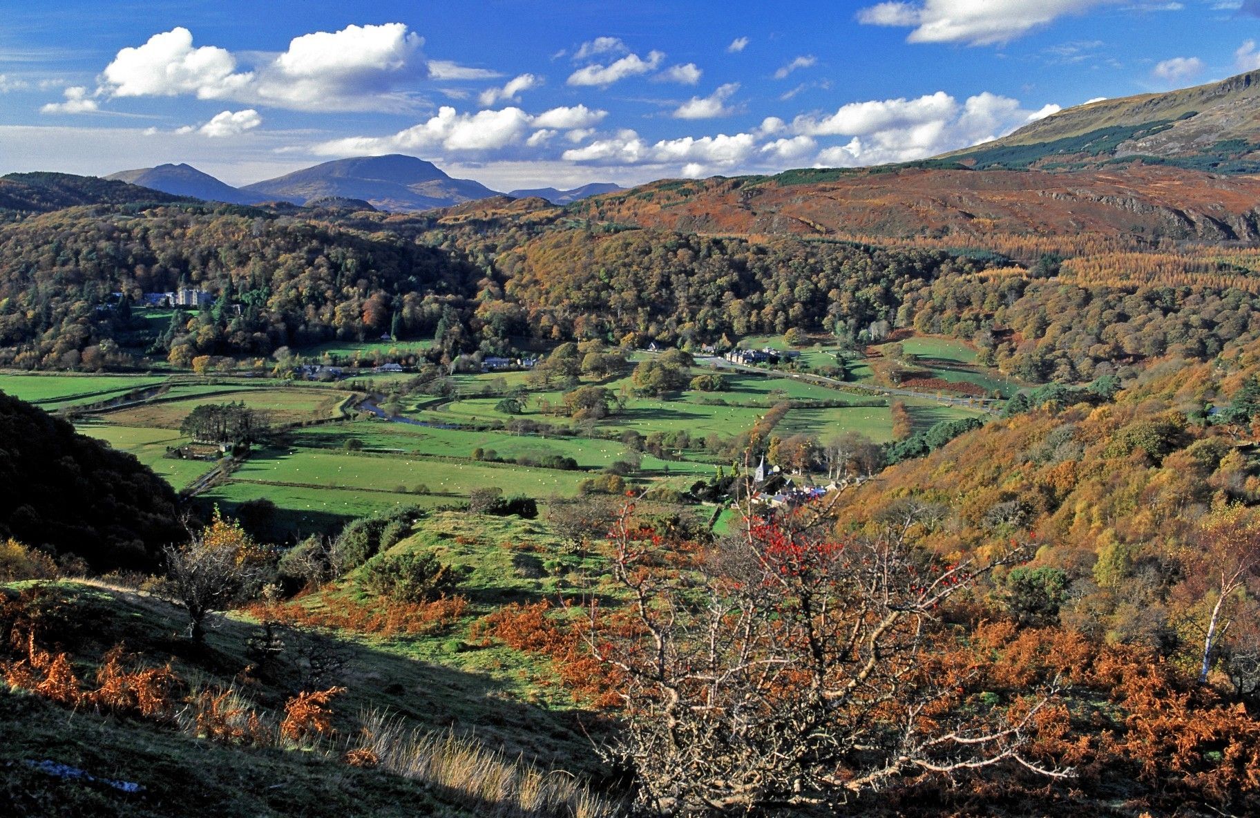 Welsh Government says it has not 'scaled back' woodland planting at Llangadog site