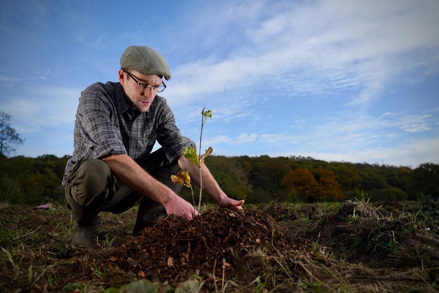 New woodlands for Cheshire and Merseyside after £4 million funding