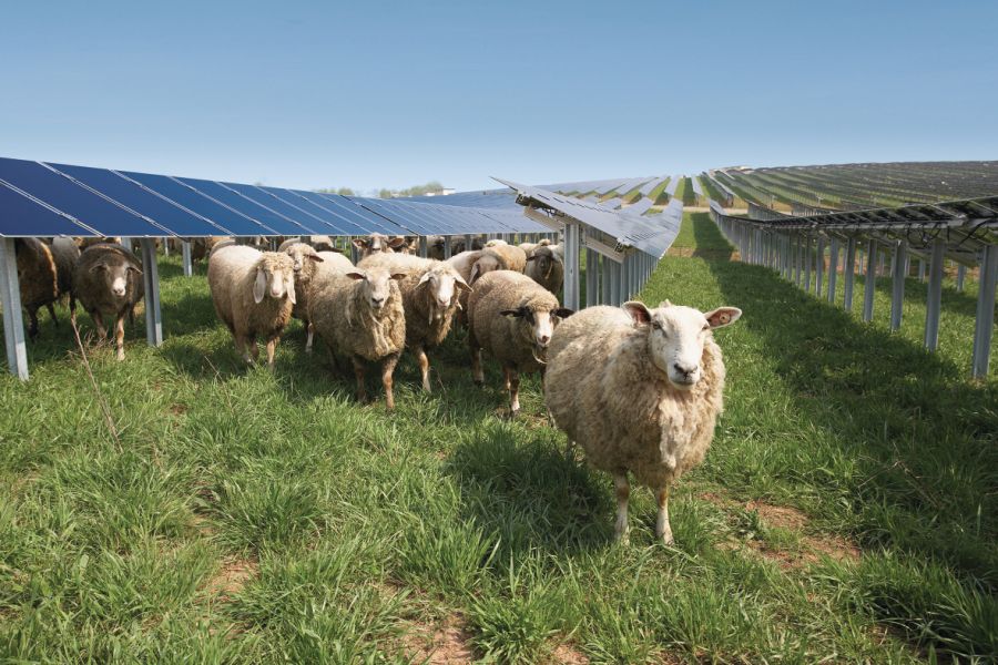 Plans revealed for renewable energy facility which could power 11,500 Swansea homes