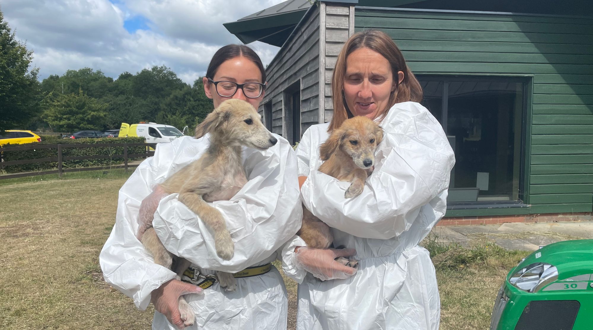 Dogs Trust West London help trio of pretty pups find their happy endings