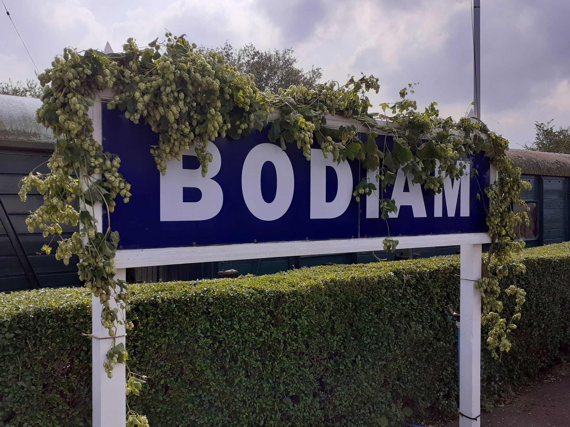 Hop to it! Bodiam station celebrates hop season in style