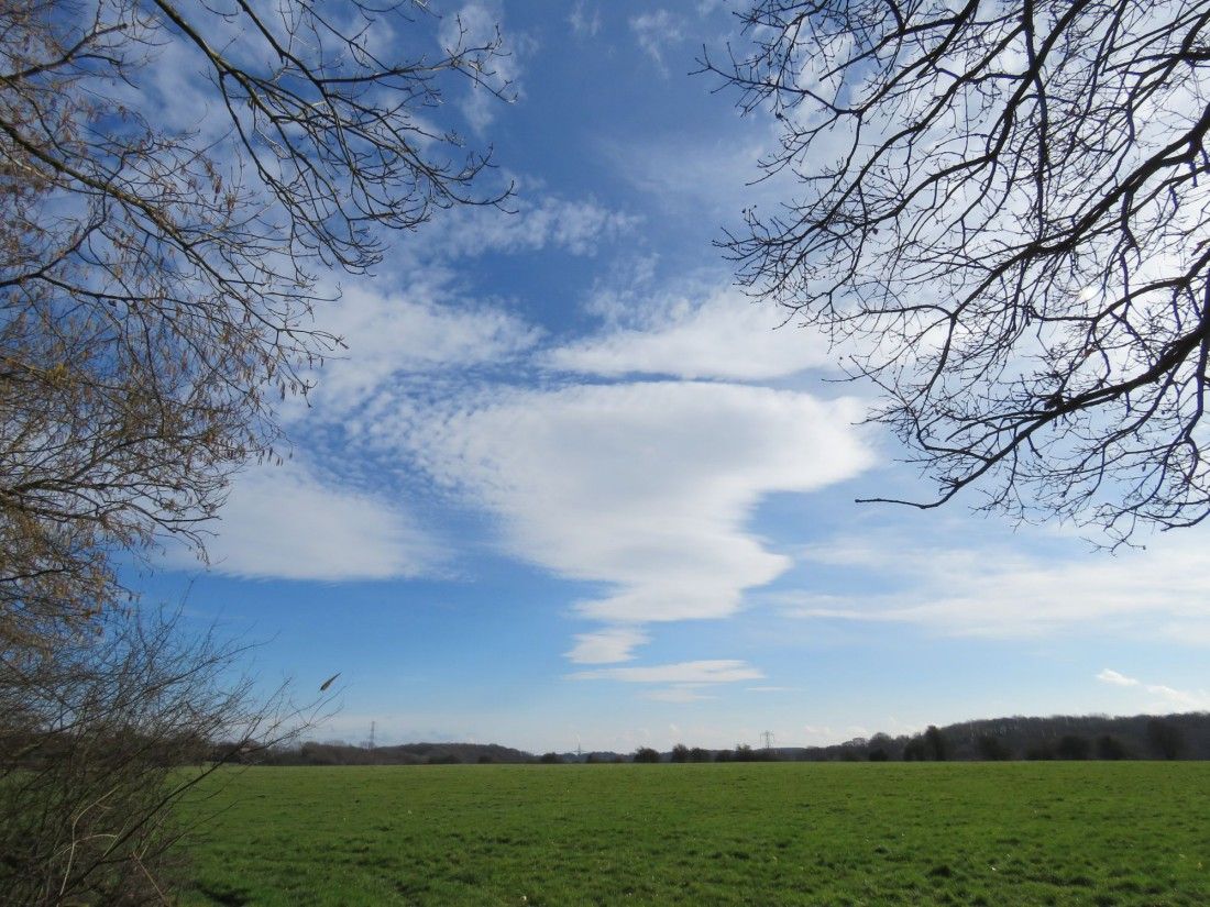 Big Green Week and funding for Kent projects