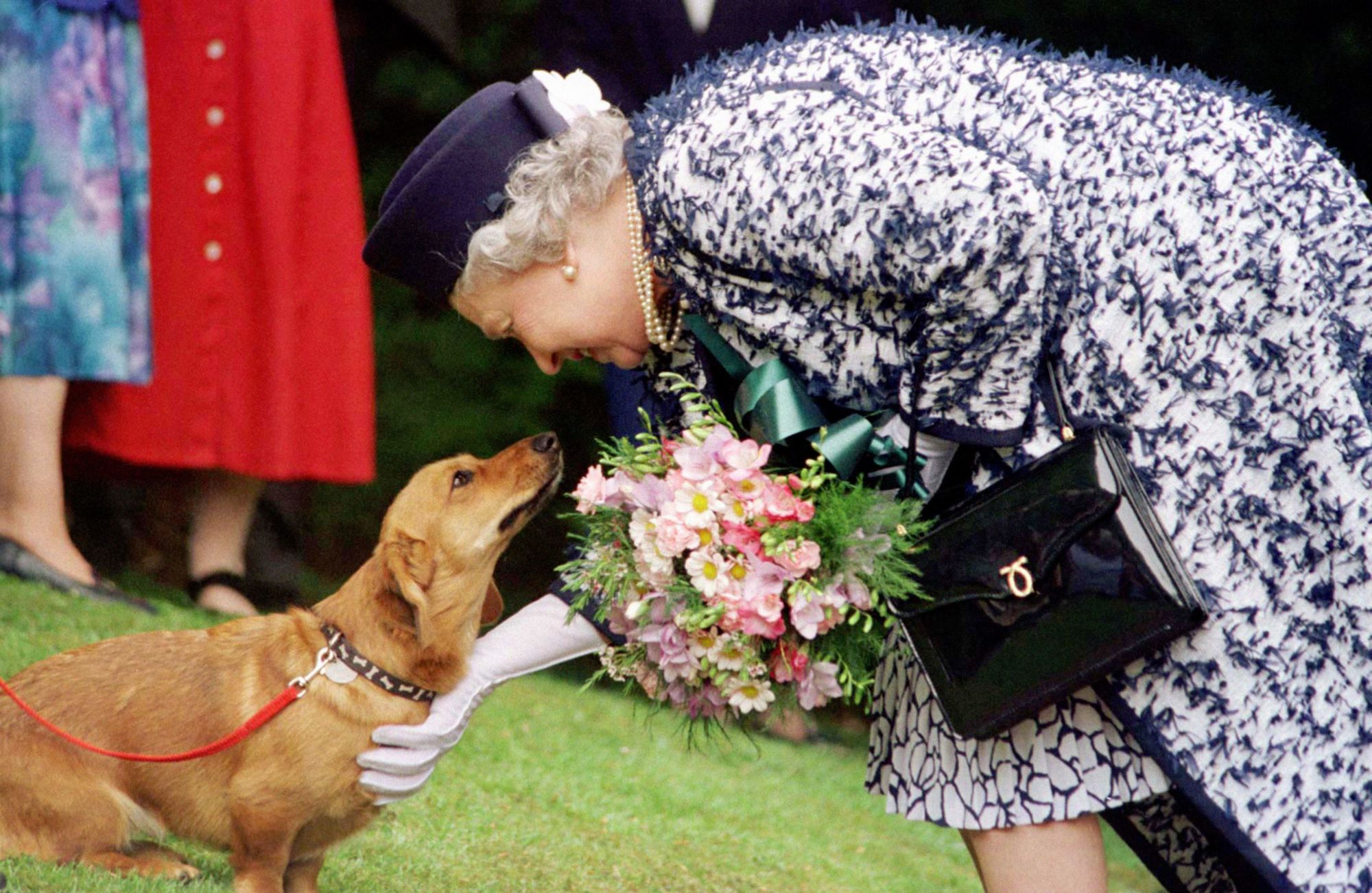 RSPCA column: 'We share the sadness of the nation'