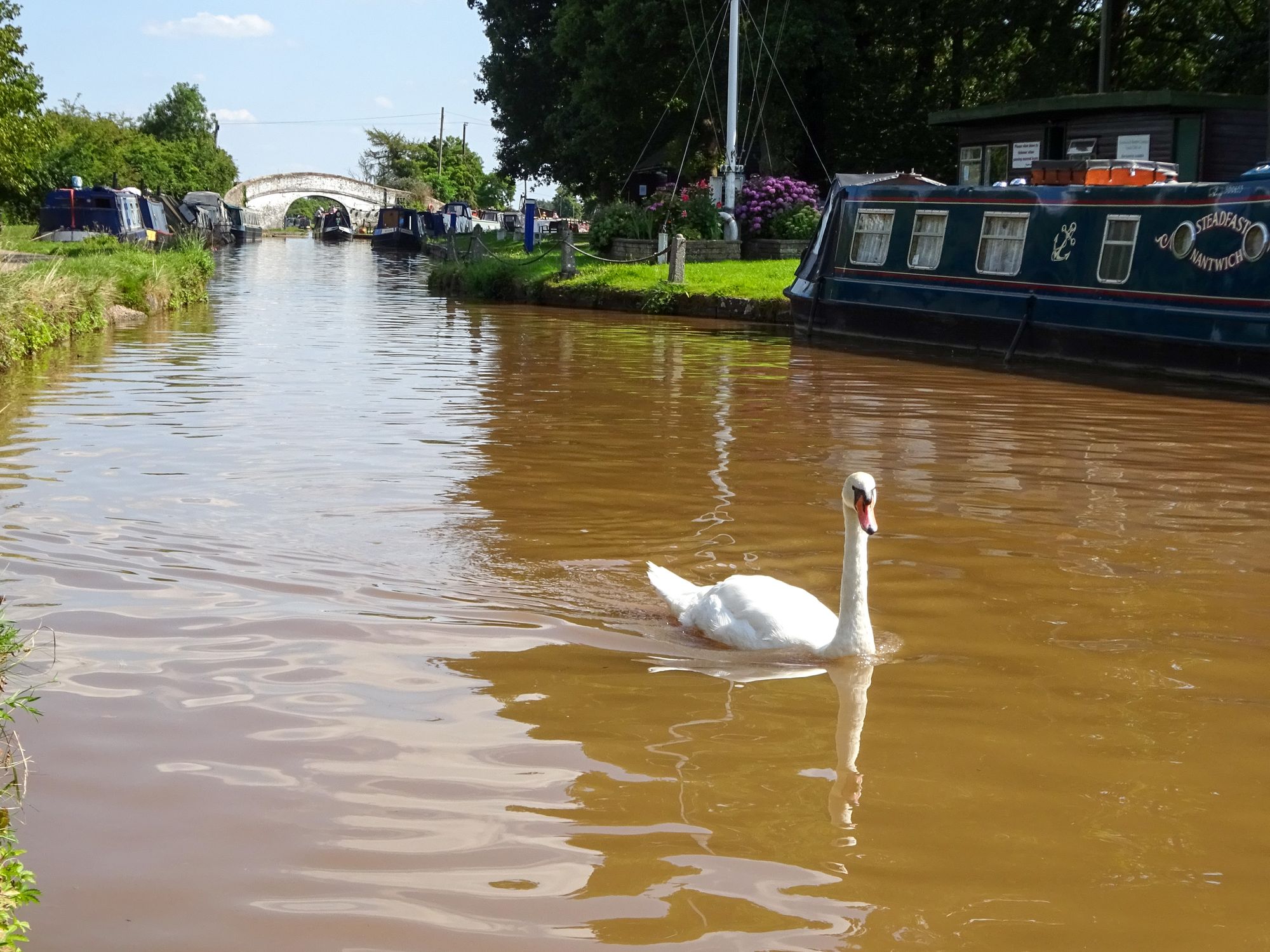 Scene By You: Readers share their photos taken in Cheshire