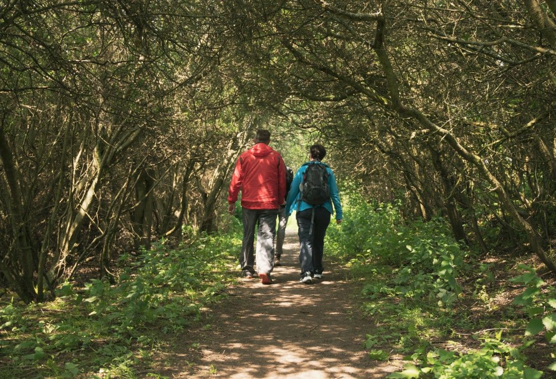 Walks, talks and ale at Kent Pilgrims’ Festival