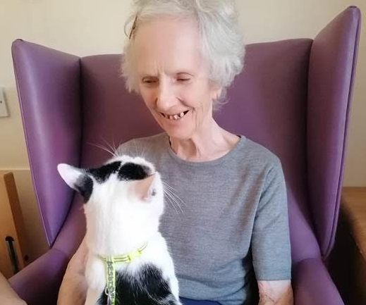 New pet gives care home residents someone 'to fuss over and play with'