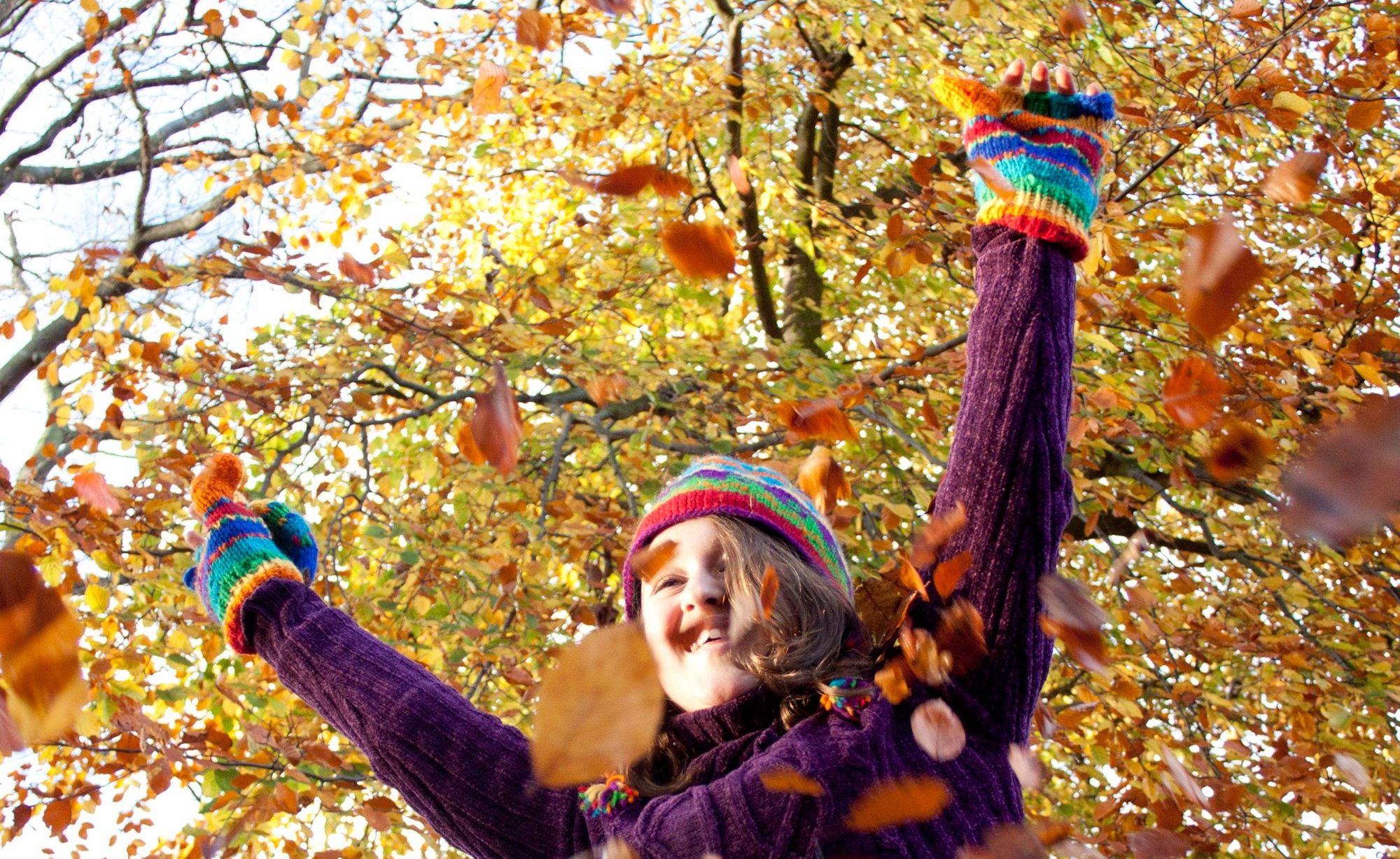 Staffordshire nature lovers urged to join 'Big Wild Walk' event