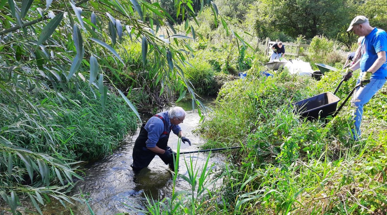 South East volunteers urged to join river restoration works