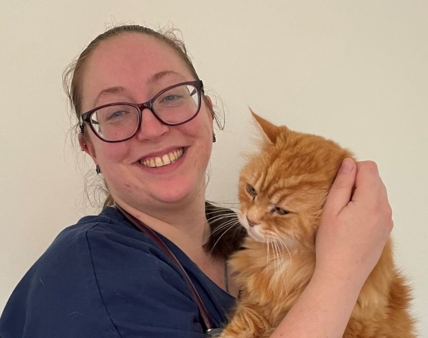 Farnham vet practice recognised for being a catfriendly clinic