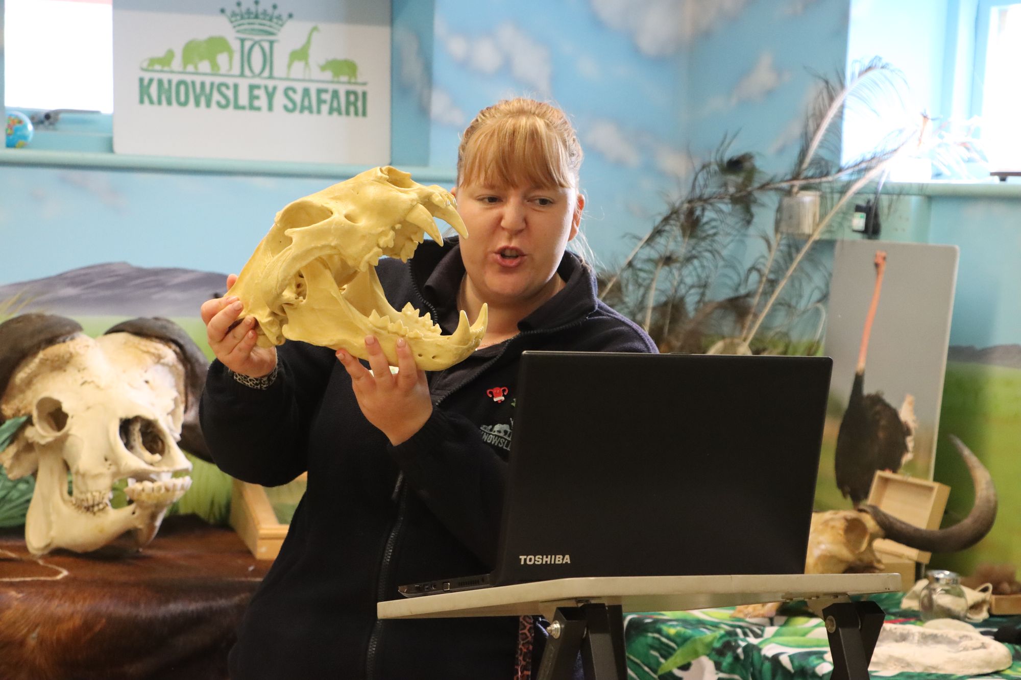Knowsley Safari to live stream free mental wellbeing sessions for primary children