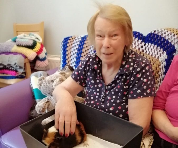 Godalming residents enjoy afternoon with animals