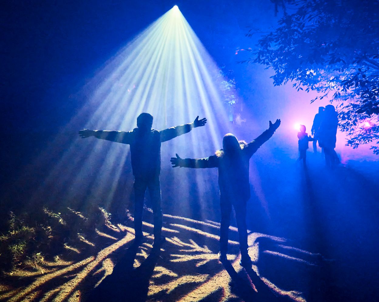 New route and light installation added to Delamere Forest's trail