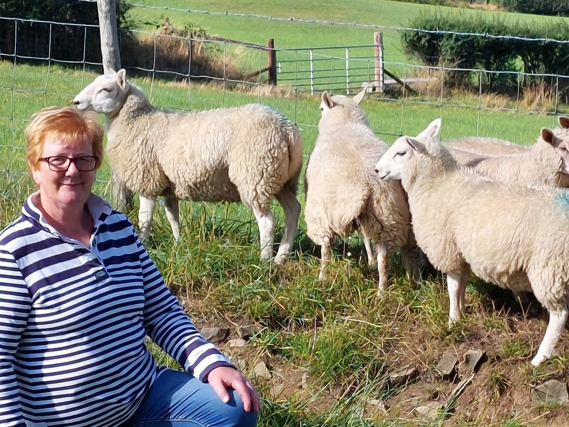 Farmer comes up with novel auction idea to raise money for Bronglais Chemo Appeal