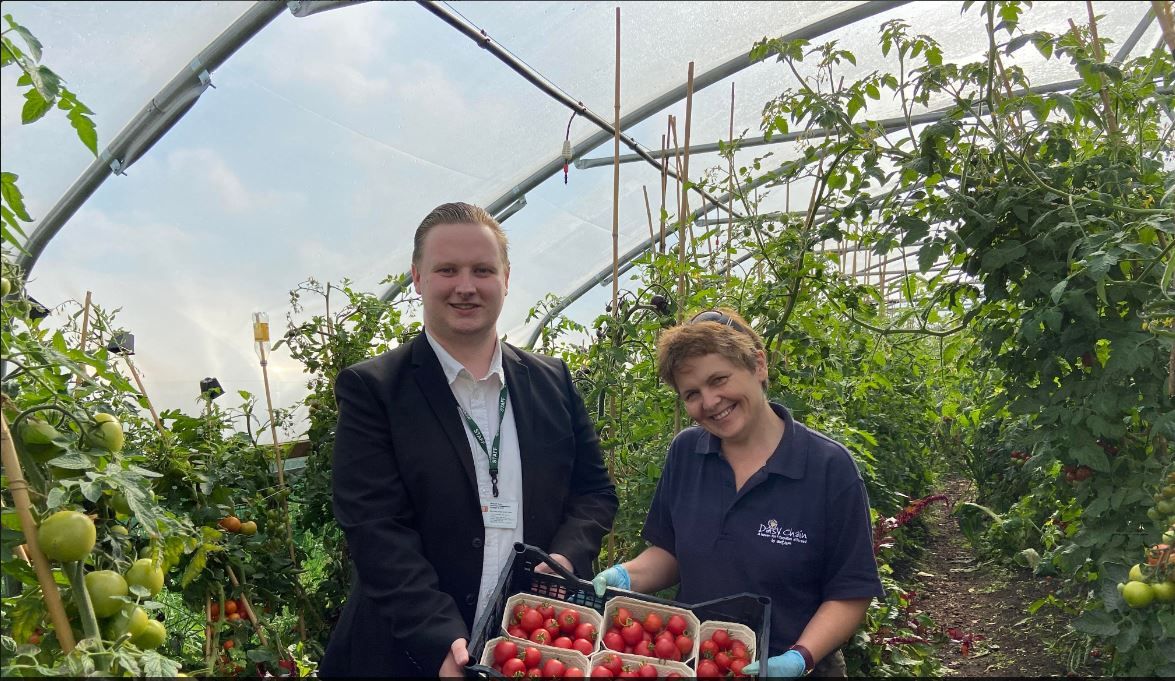 Norton autism charity making a difference, one iceberg lettuce at a time