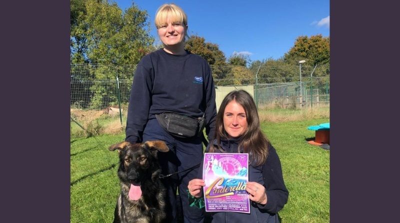 'Oh yes it is!'- Pantomime is coming to Essex animal home