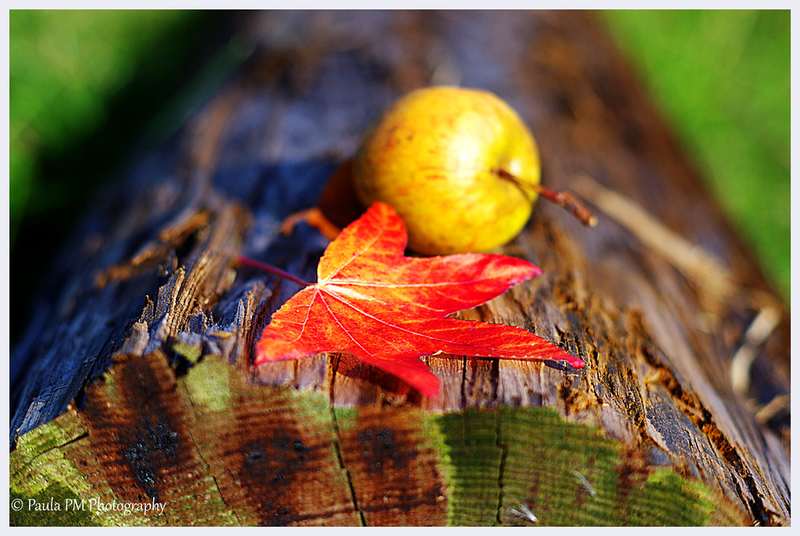 Scene By You Ormskirk - November 3: Pictures of West Lancashire captured by local photographers