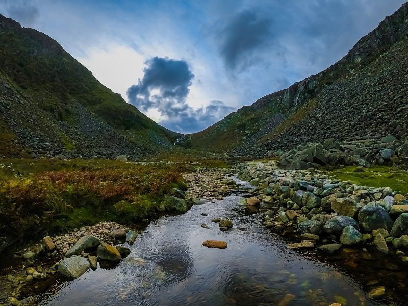 Laughing Badger: Myth, truth and legend surrounding the treasures of Wicklow mountains