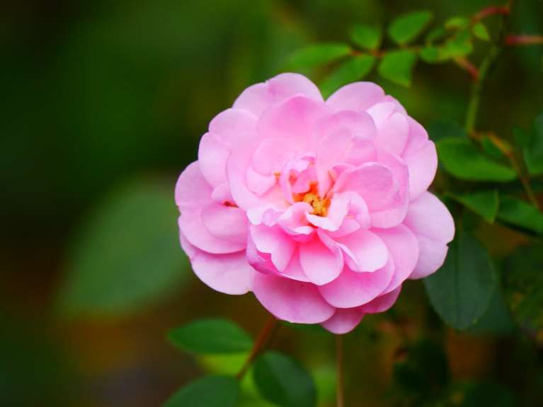 Scene By You Ormskirk - October 20: Pictures of West Lancashire captured by local photographers