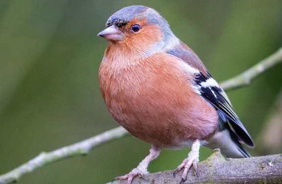 Scene By You Ormskirk - October 27: Pictures of West Lancashire captured by local photographers