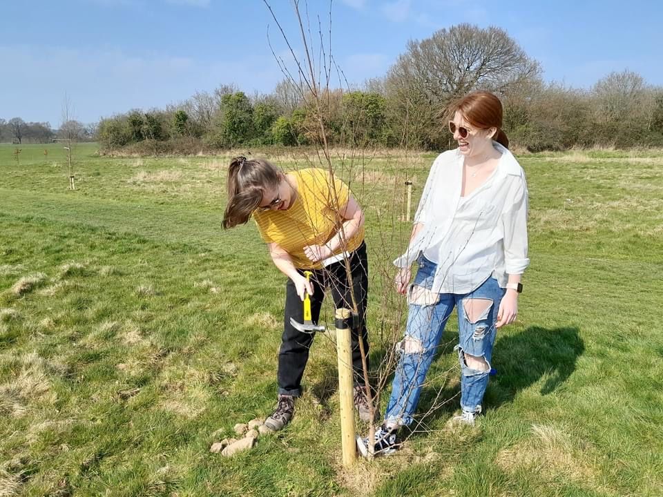Coed Caerdydd project will increase tree canopy cover across Cardiff