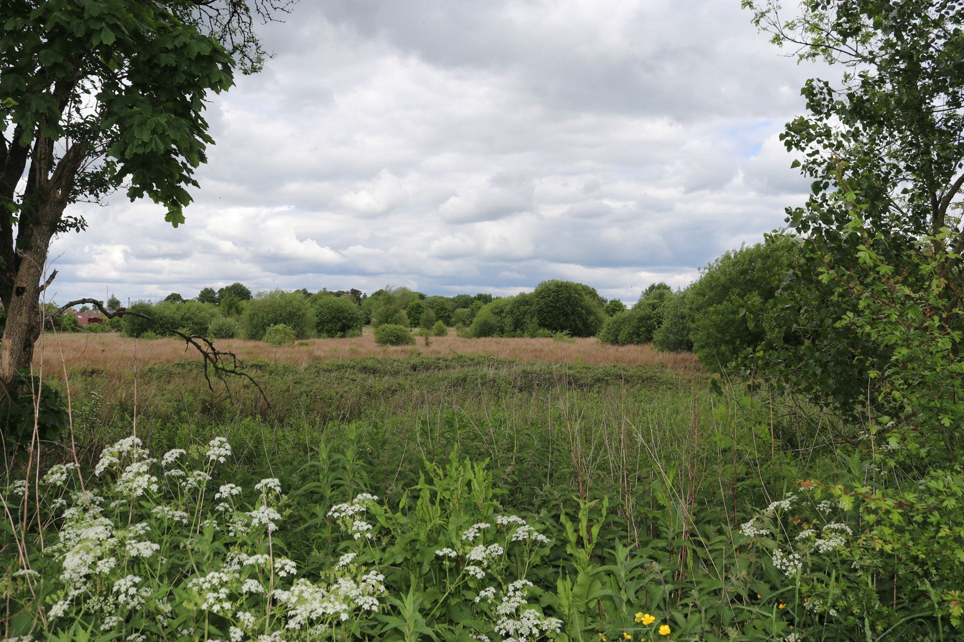 Macclesfield community asked to take part in Danes Moss consultation