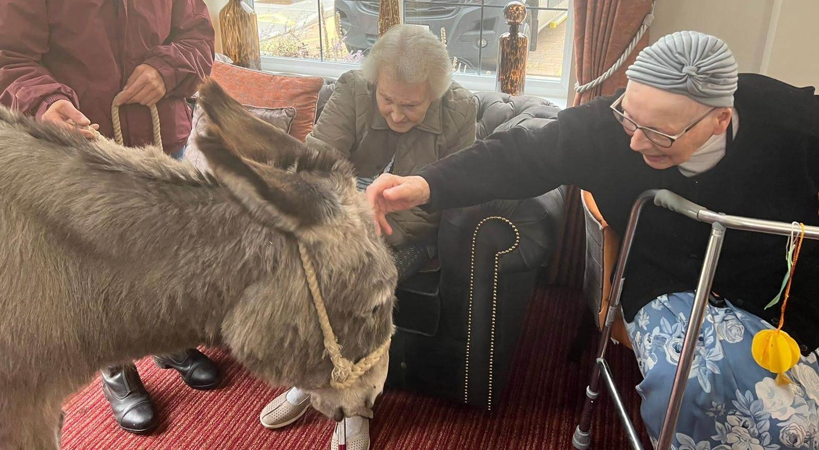 Tracey the Donkey paid a special visit to Wallingford care home residents