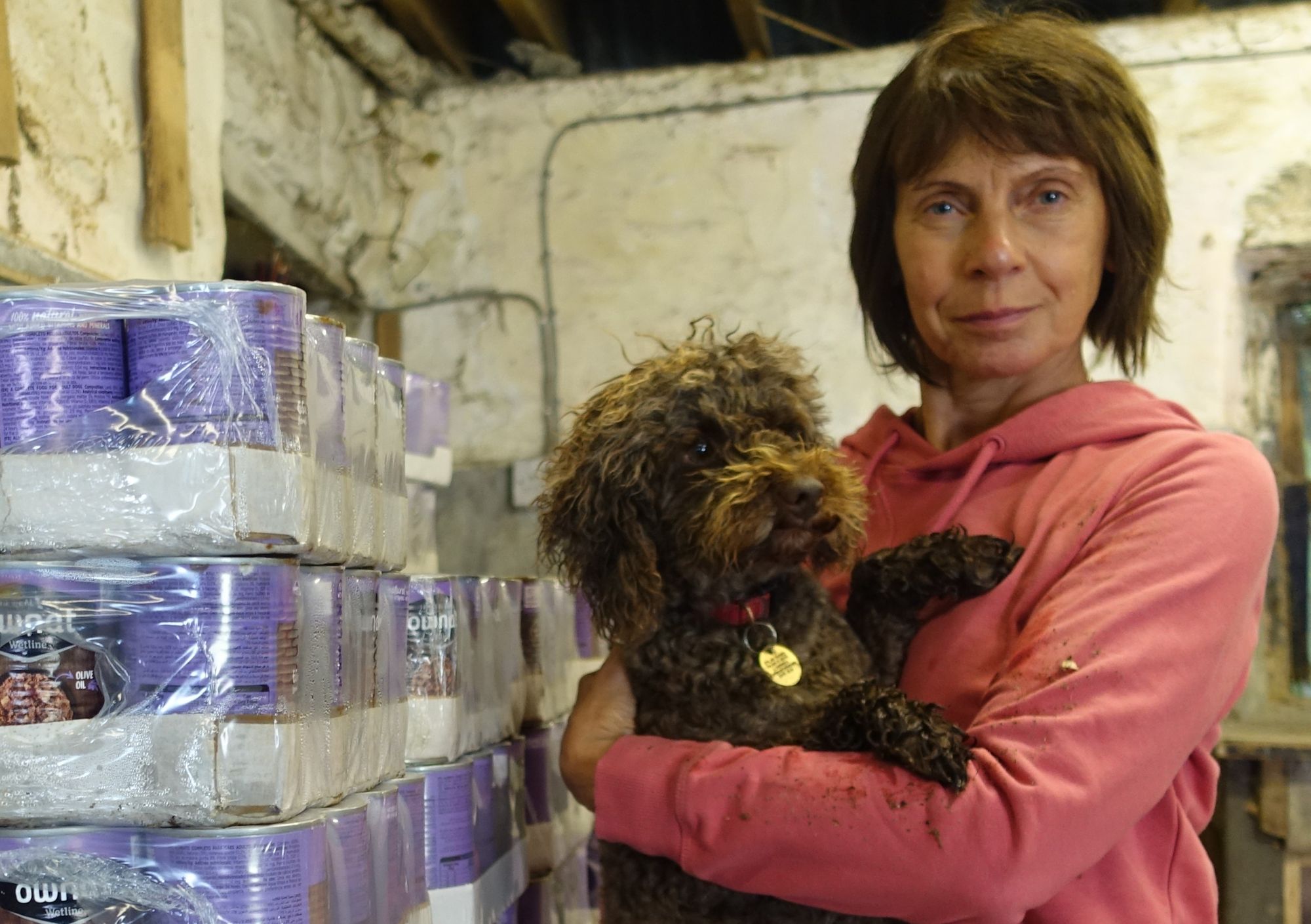RSPCA branches in Wales distribute 49,000 servings of pet food to banks