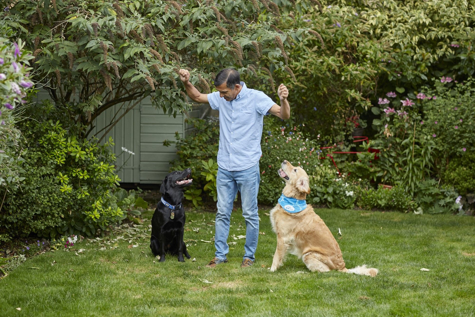 Sign up to have Guide Dogs in training over for sleepovers
