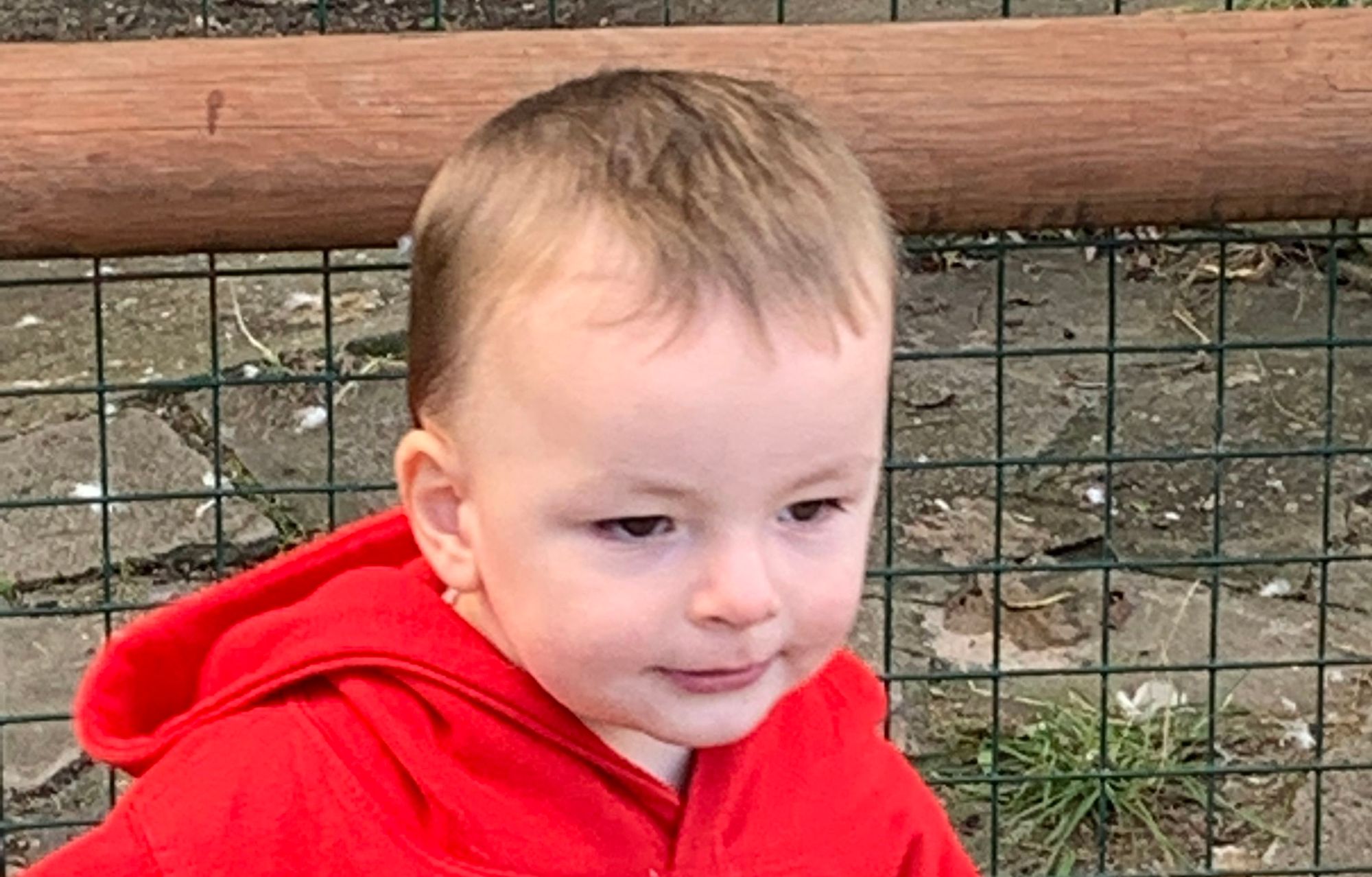 Earl Shilton boy, 1, joins Tommy 10k British Legion challenge