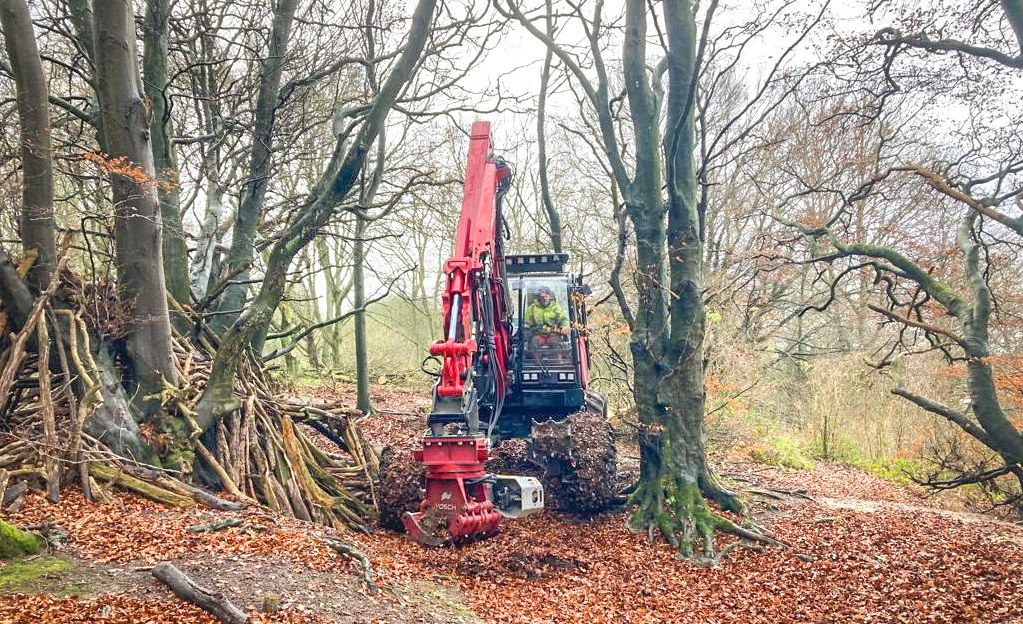Berkshire, Buckinghamshire, Oxfordshire Wildlife Trust launches appeal to help deadly tree pandemic