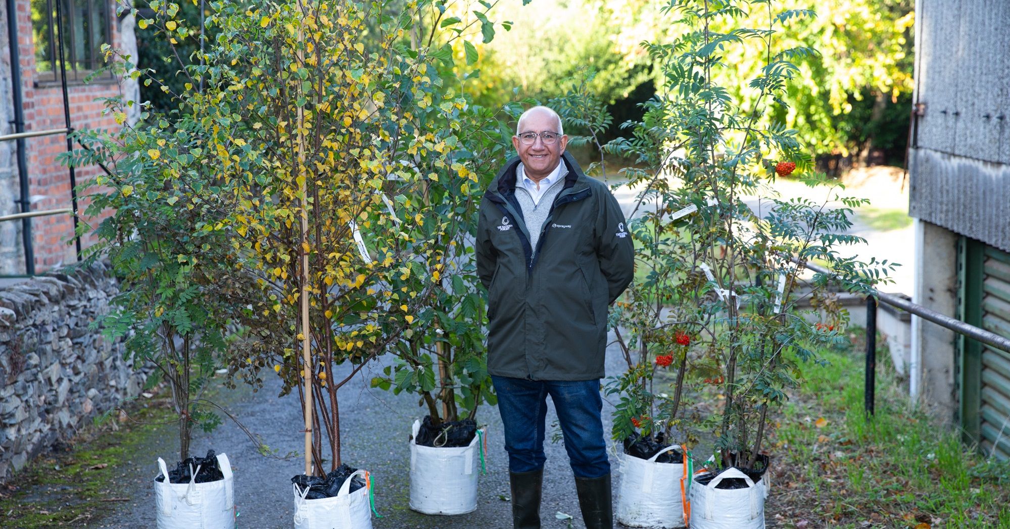 Five trees from Platinum Jubilee sculpture to be planted in Leicestershire in honour of the Queen