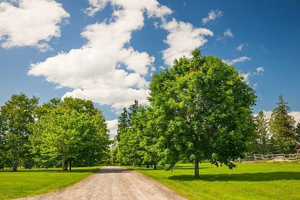 Top 10 greenest routes for Londoners to reconnect with nature this Autumn