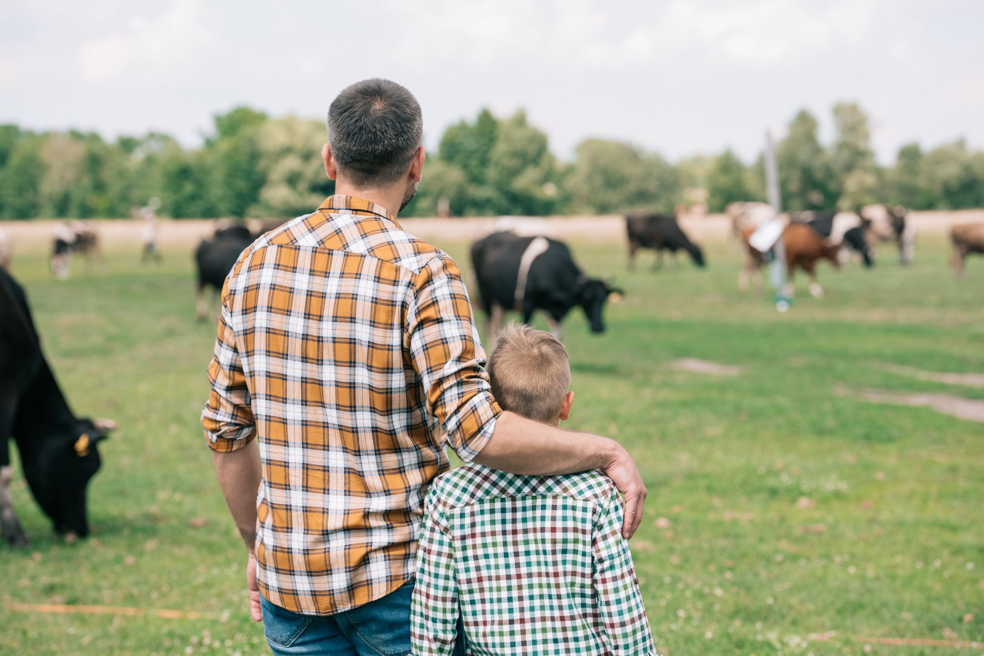 Grant awarded to support East Anglian farmers' mental health