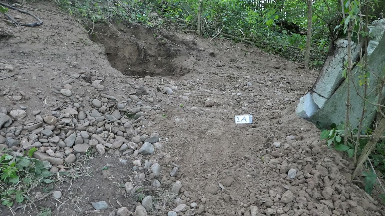 Two men fined after illegally digging in badger sett near Wrexham