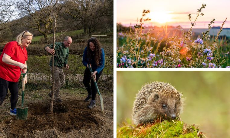 Caerphilly County Borough Council work towards a greener future