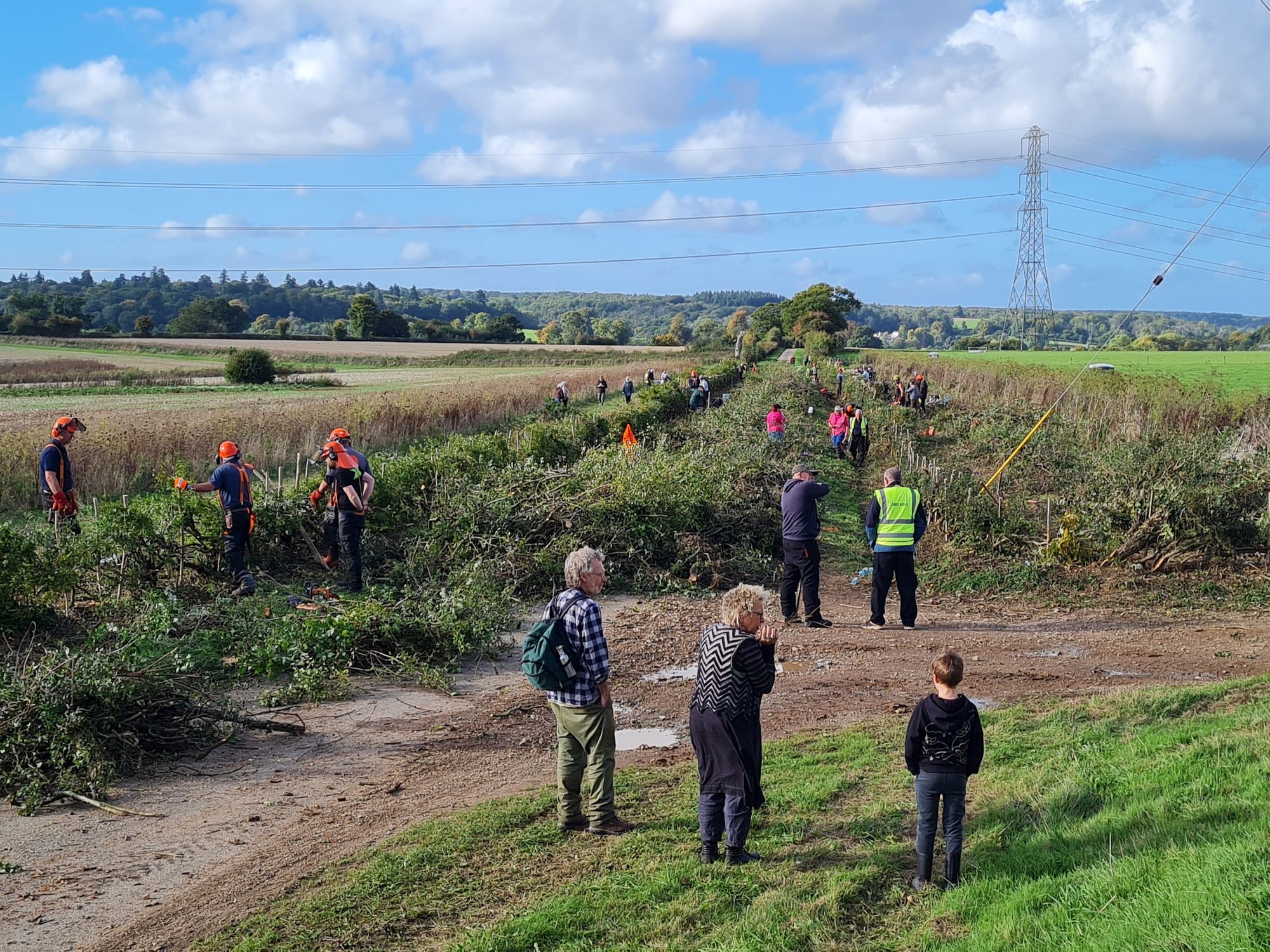 World record attempt in East Hampshire to mark National Hedgerow Week