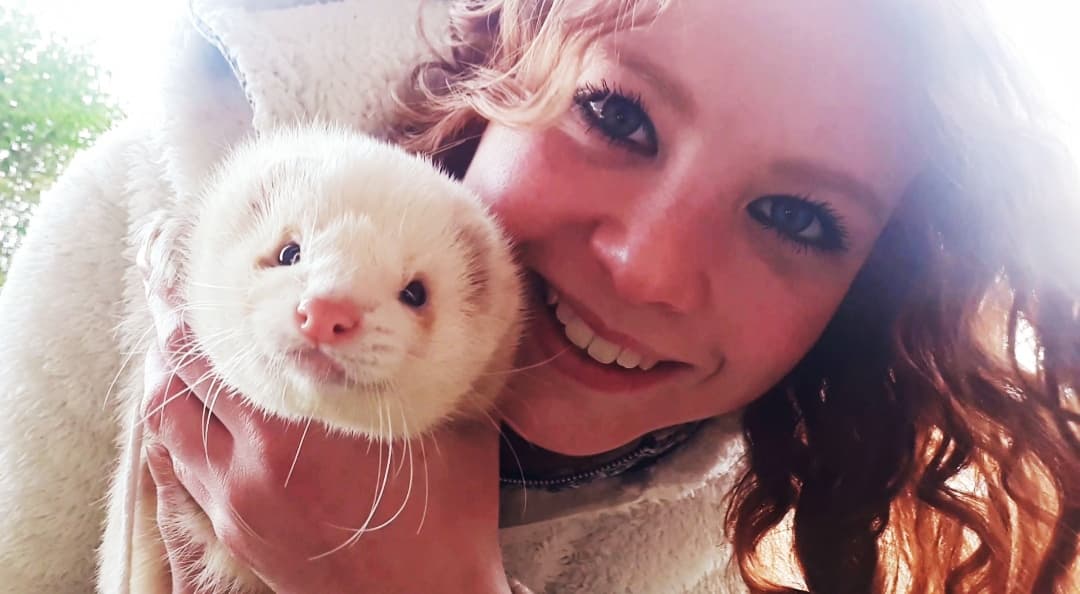 Why a ferret could be your next perfect pet