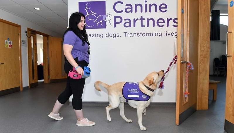 Loughborough dog charity celebrates the support that helps them transform lives