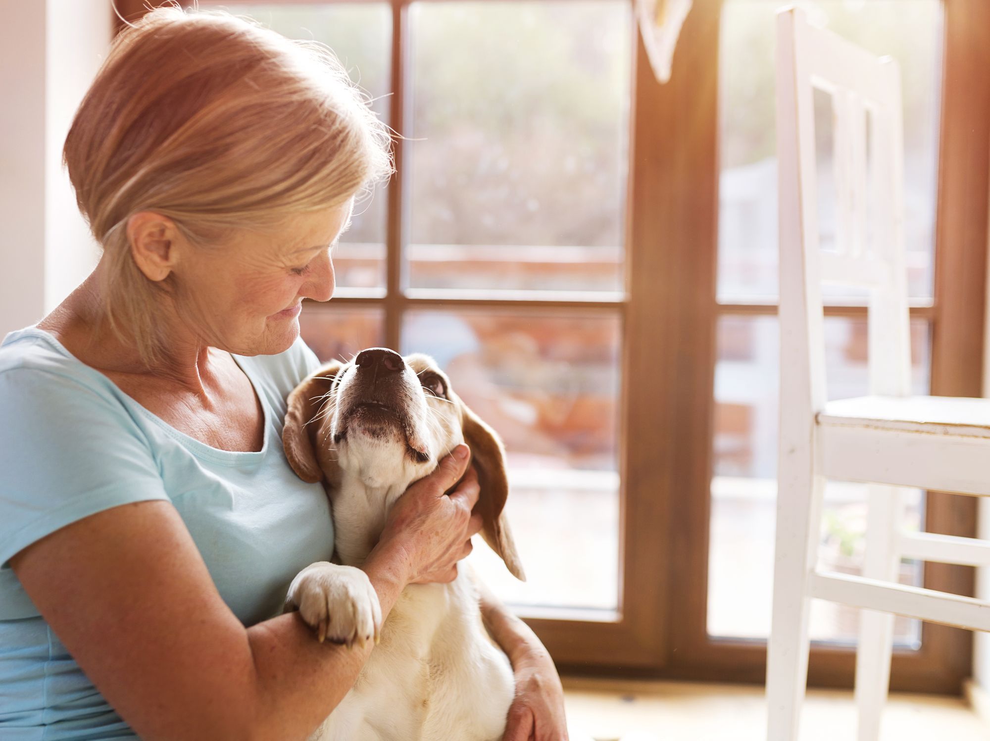Owning a dog costs owners a staggering £20,000, according to research