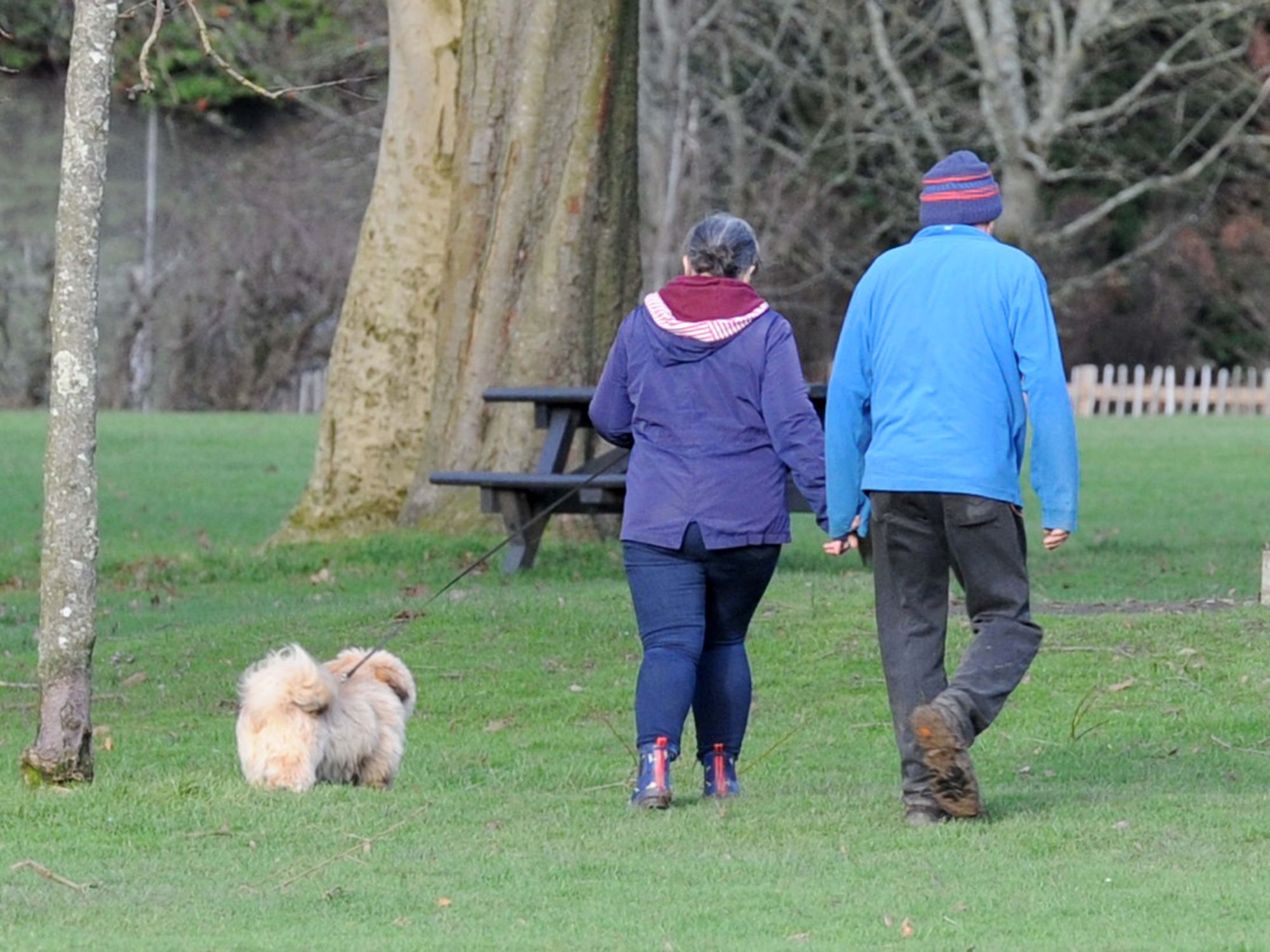 Liverpool dog owners to be fined up to £1,000 for failing to bag and bin mess