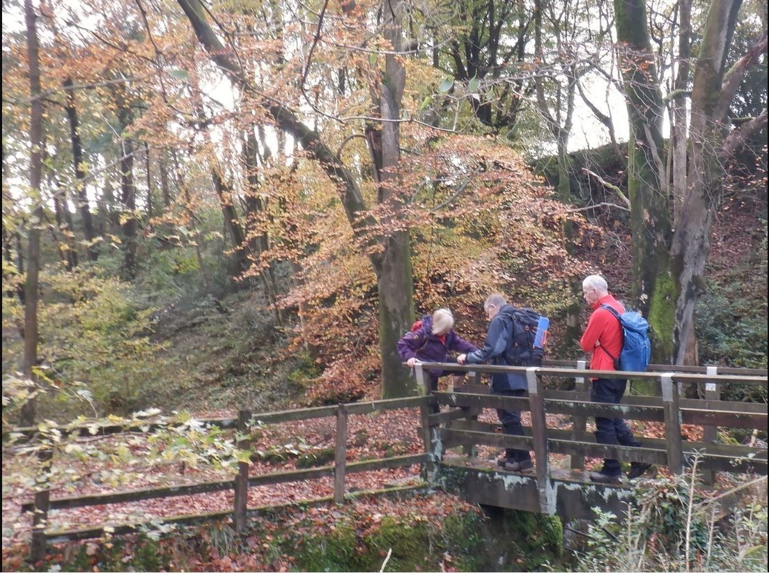Rossendale Ramblers: Enjoy autumn colours in Clitheroe