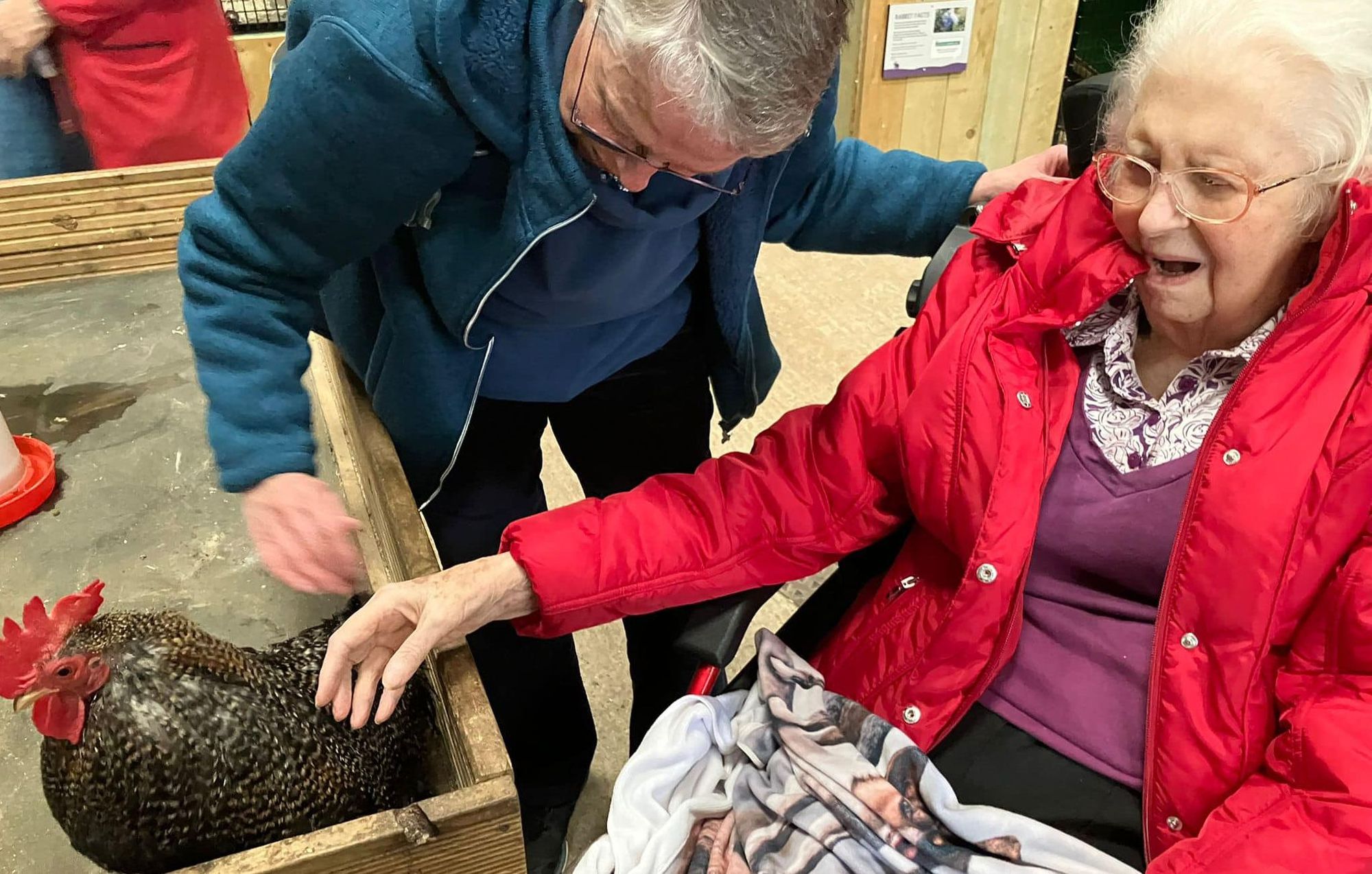 Leatherhead resident, 91, surprised with farm visit as birthday wish comes true