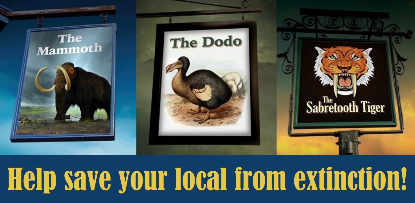 CAMRA column: Your Local needs You