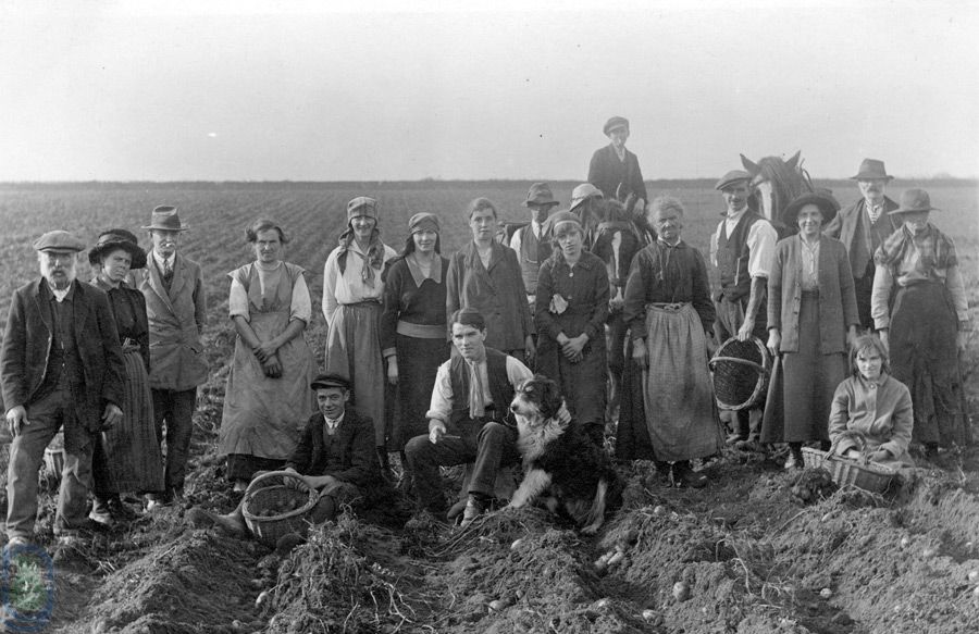 Communities across North Yorkshire can explore the 1921 census for England and Wales