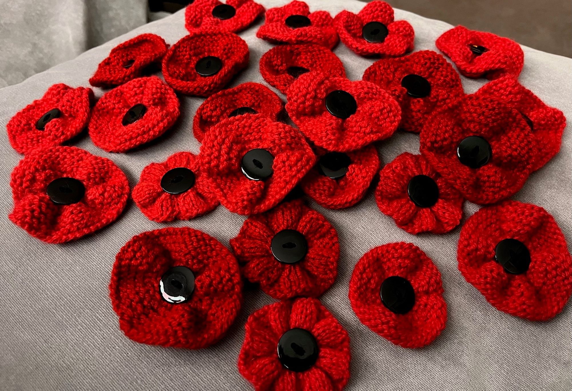 Nottingham woman knits 400 poppies to raise money for the Royal British Legion