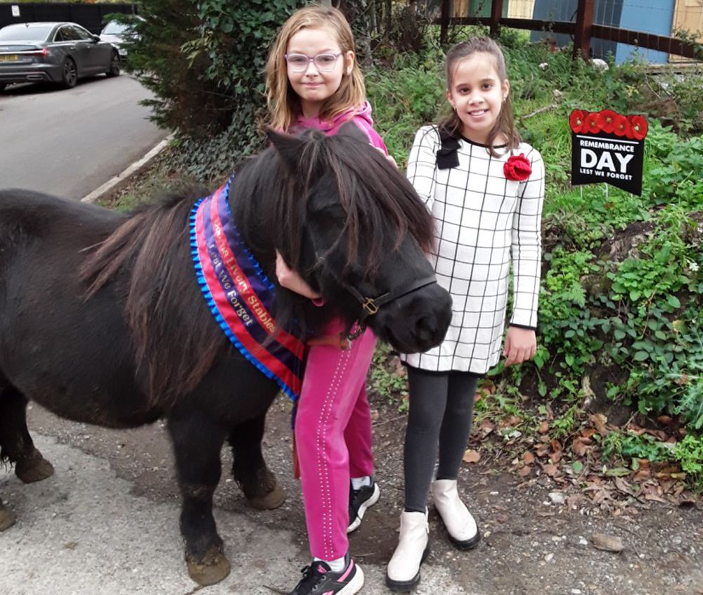 'War horse' joins Orpington pupils for Remembrance service