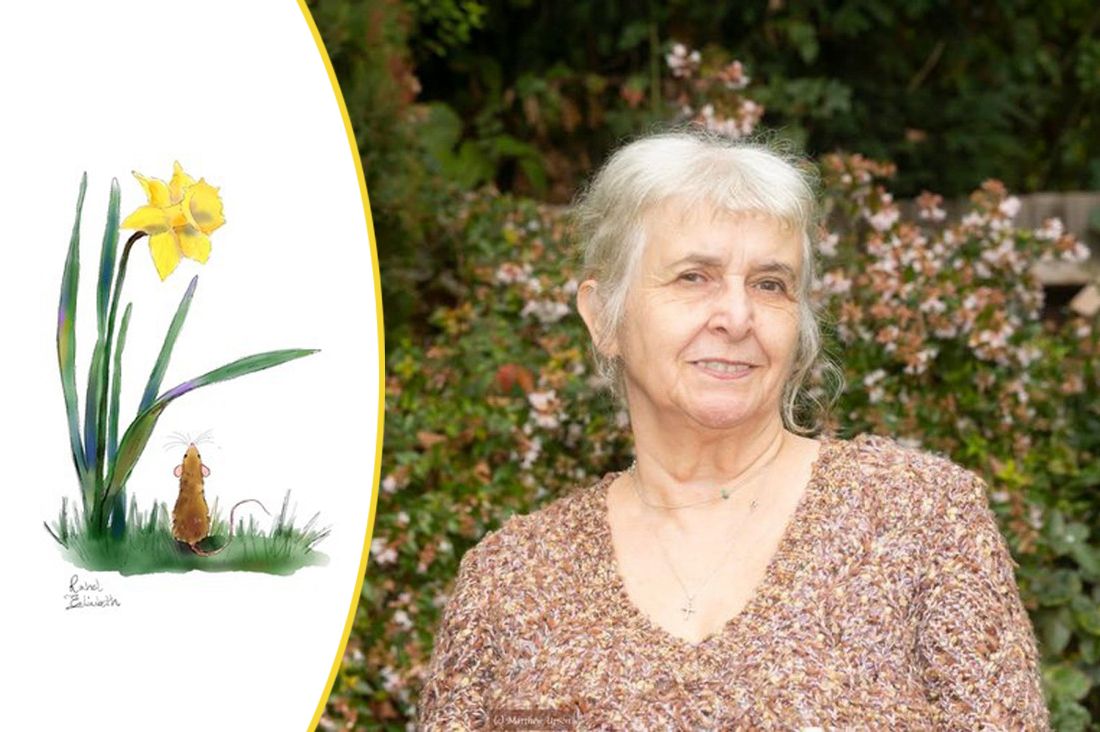 Stephen Fry backs Merton's suicide prevention project Daffodil Walk