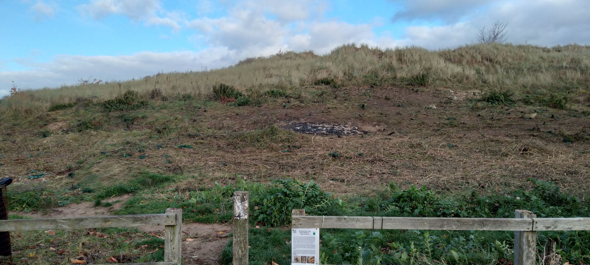 Sefton Coast Column: Essential winter works being carried out to improve habitat for rarest species