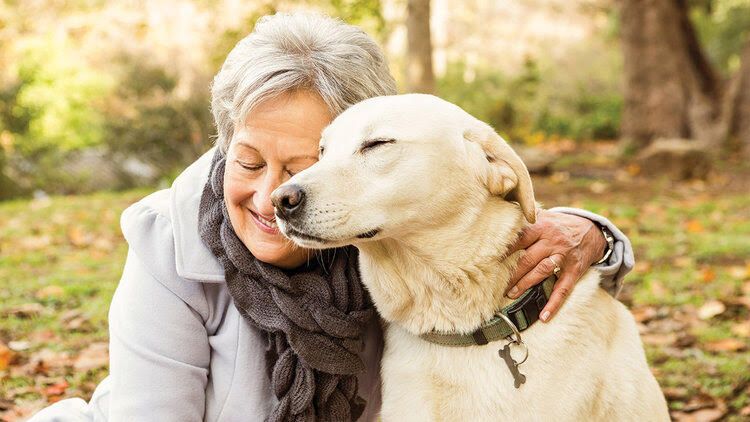 Help for owners to feed pets as cost of living bites