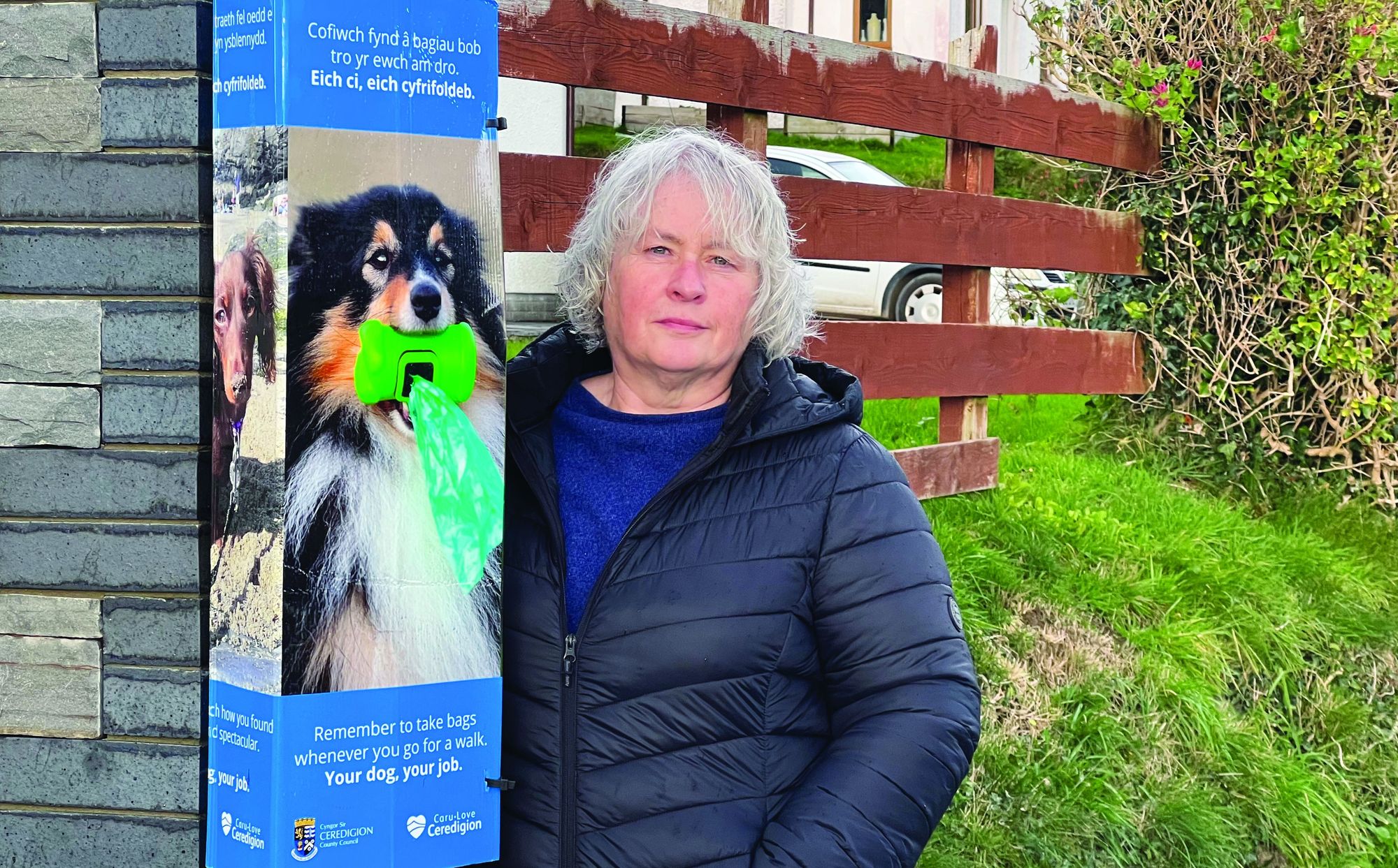 Ceredigion Council launches ‘Your Dog, Your Job’ campaign to urge owners to clean up mess